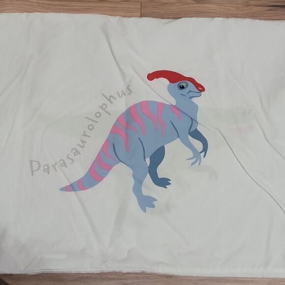 Dinosaur kids bedroom bundle - Picture 11 of 12